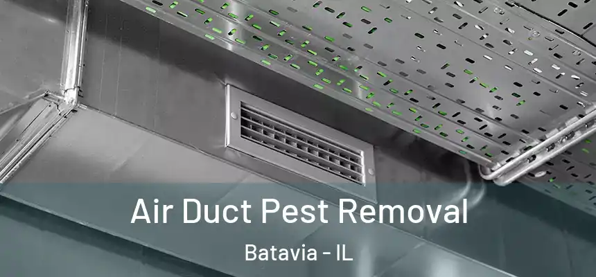  Air Duct Pest Removal Batavia - IL