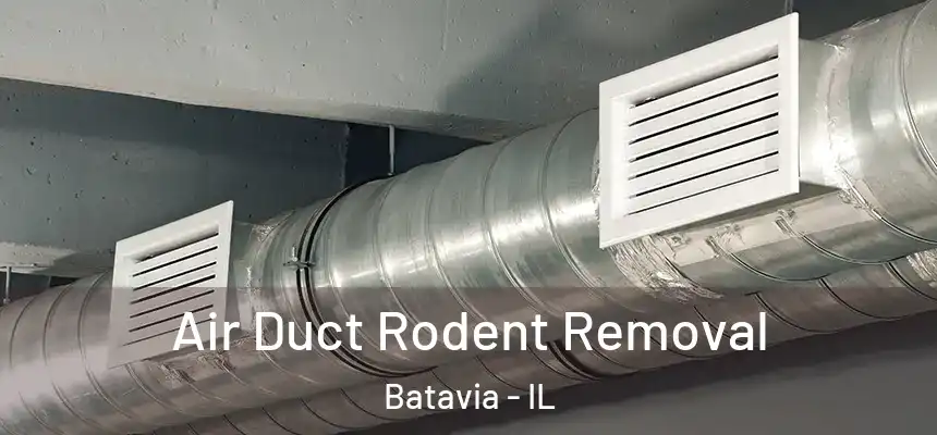  Air Duct Rodent Removal Batavia - IL