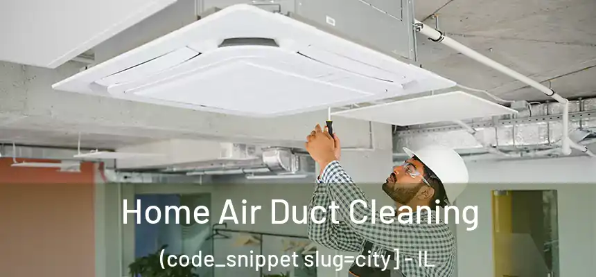  Home Air Duct Cleaning (code_snippet slug=city] - IL