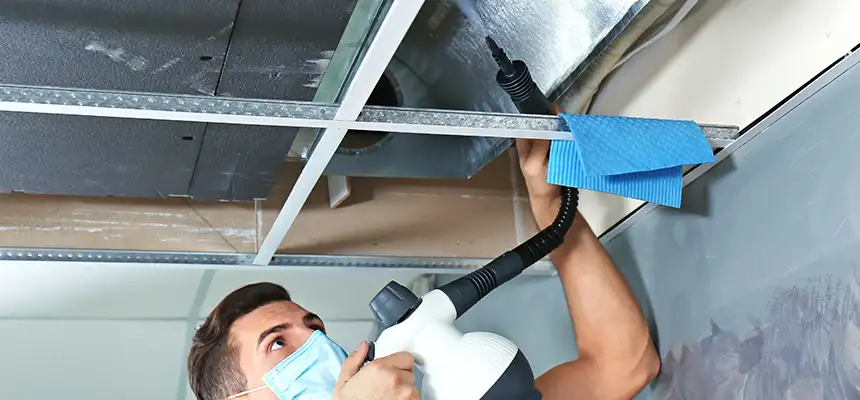 Our Air Duct Rodent Removal Services in Batavia, IL