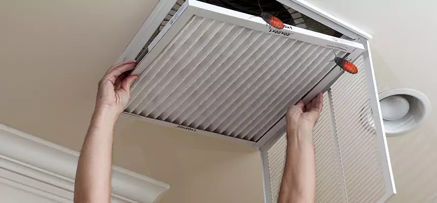 Our Insect Removal from Air Ducts Services in Batavia, IL