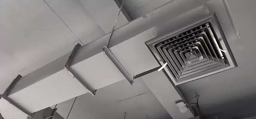 Our Pest Removal From Ducts Services in Batavia, IL