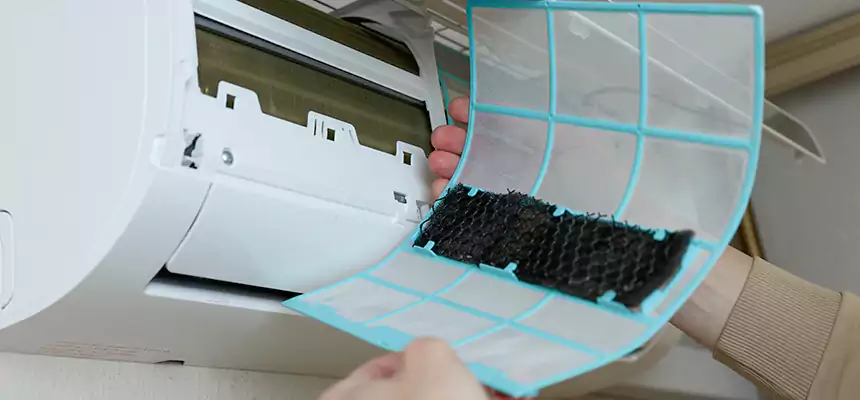 Gentle Ductwork Odor-Control Pet Dander Duct Cleaning in Batavia, IL