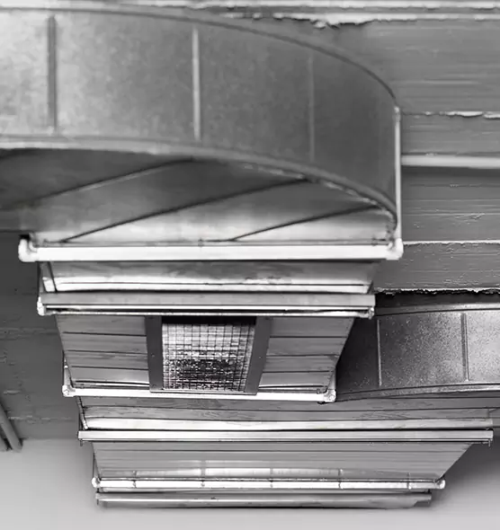 Professional Air Duct Pet Hair Removal in Batavia, IL