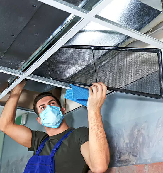 Professional Air Duct Pollen Cleaning in Batavia, IL