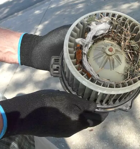 About Air Duct Rat Removal in Batavia, IL