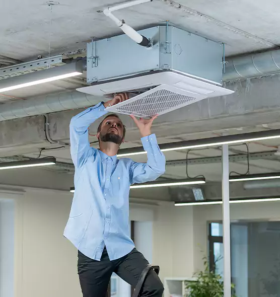 Advanced Rodent Droppings In Vents in Batavia, IL