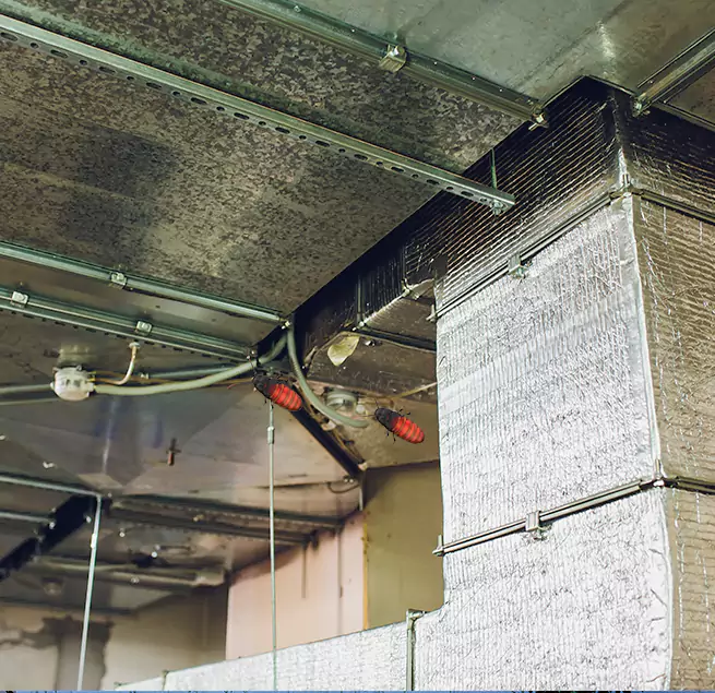 Why Homeowners & Businesses Trust Us in Batavia, IL?