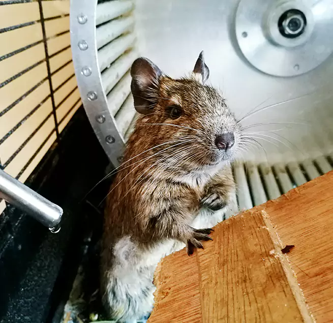 Why Homeowners & Businesses Trust Us Batavia, IL