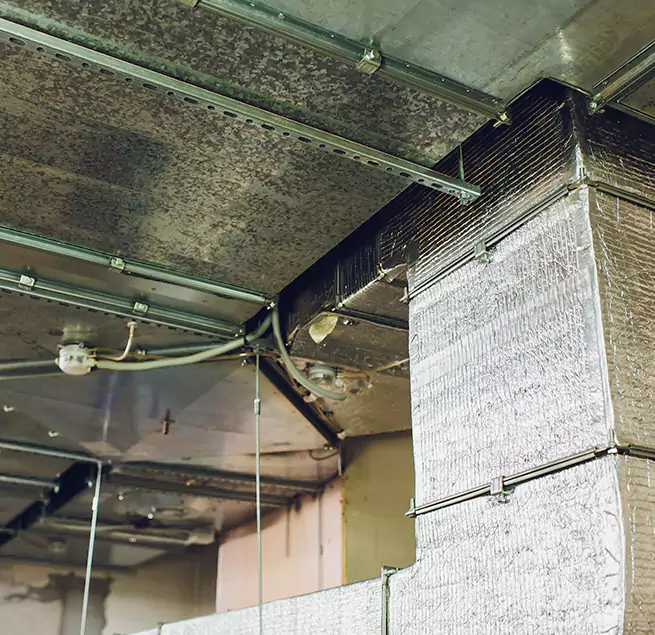 Why Homeowners & Businesses Trust Us in Batavia, IL?